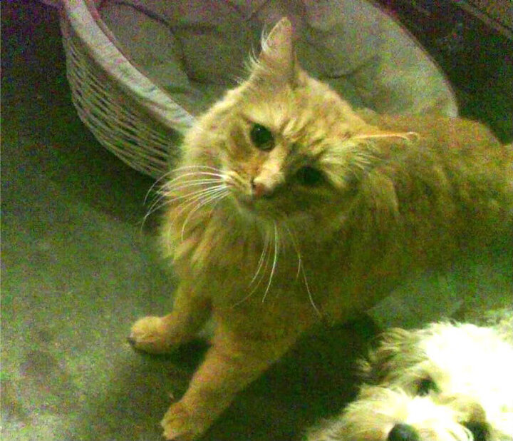 开云网页版-_虚拟竞技游艺馆：沉浸式运动新空间_，虚拟竞技场