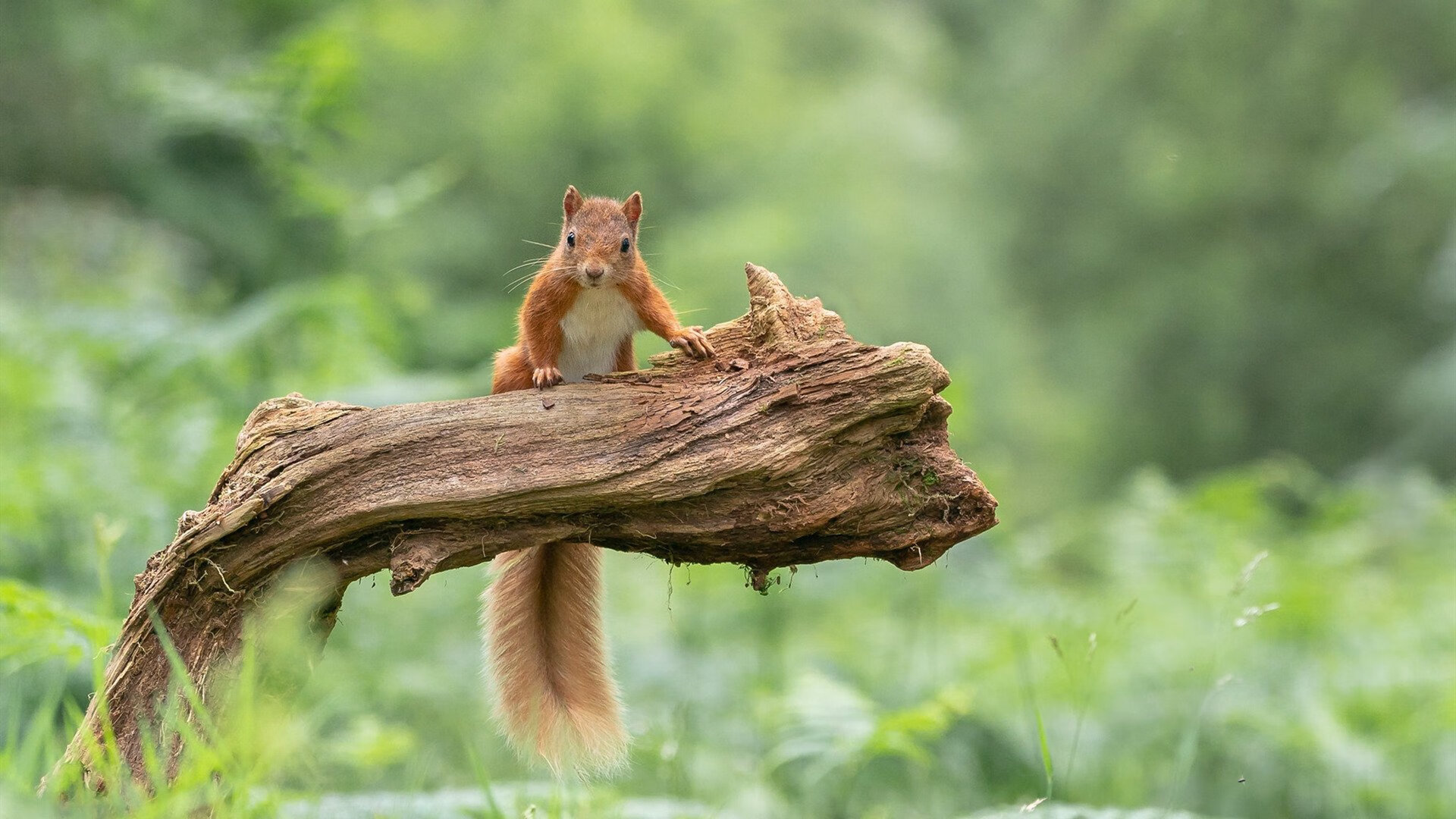 开云网站-_赛事总结：本年度最值得回忆的精彩比赛_，相当精彩的比赛