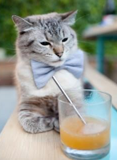 开云·体育官网-“法甲争冠集团拉开差距，豪门激战逐步升温”，法甲夺冠