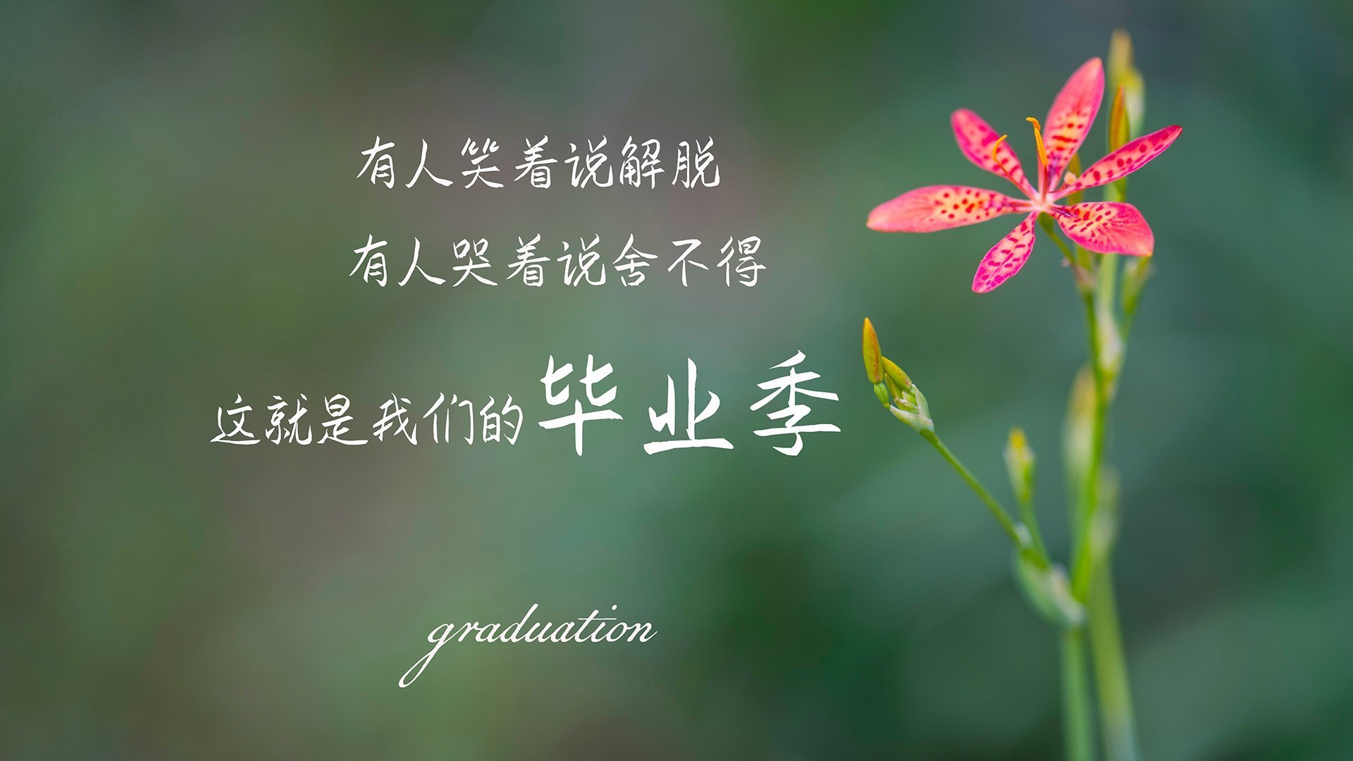 开云官方网页登录-不可思议！新星打破世界纪录，世界十大新星